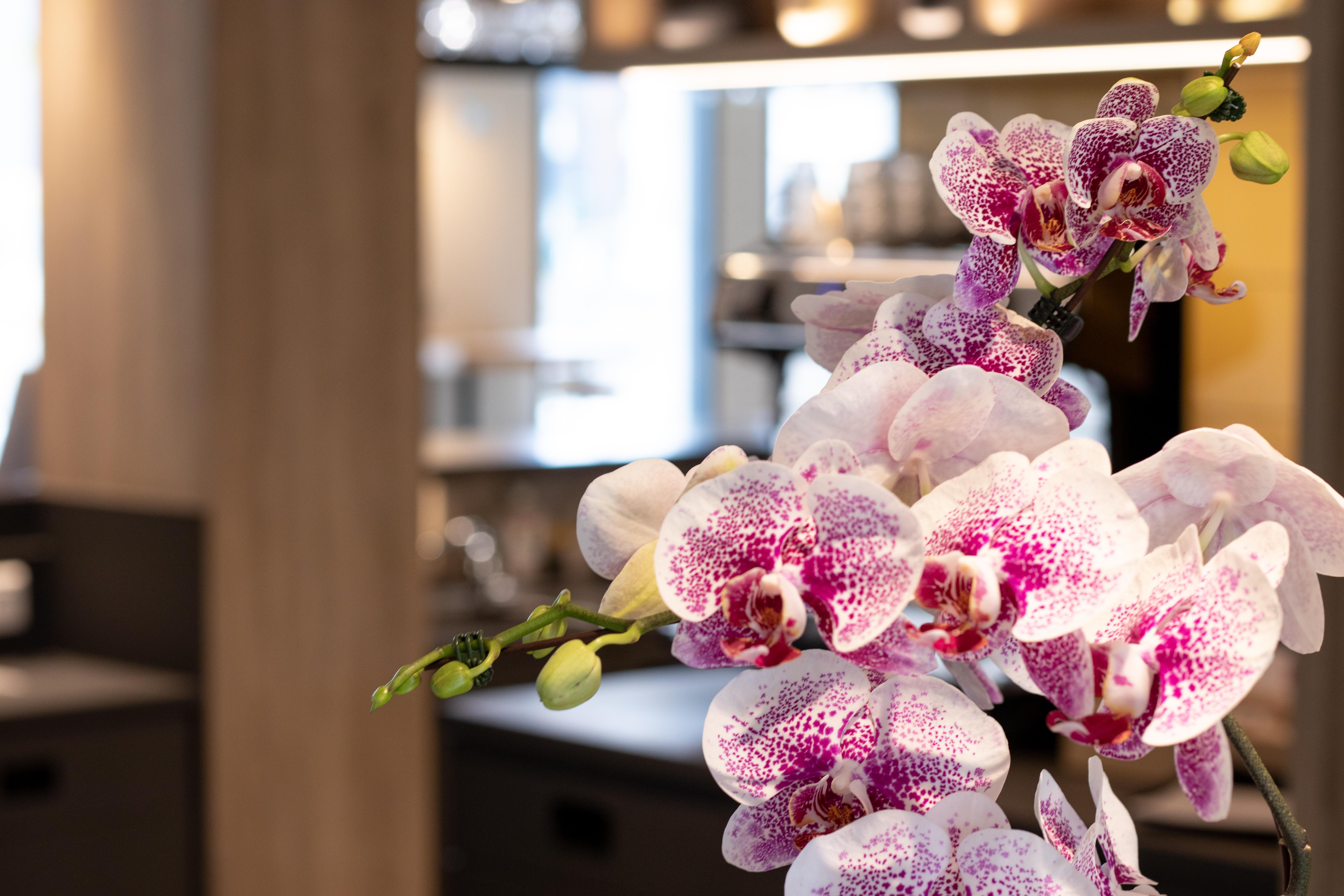 Campanile Rungis - Orly Hotel Chevilly-Larue Ngoại thất bức ảnh